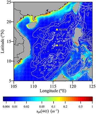 Diel Patterns of Variable Fluorescence and Carbon Fixation of Picocyanobacteria Prochlorococcus-Dominated Phytoplankton in the South China Sea Basin